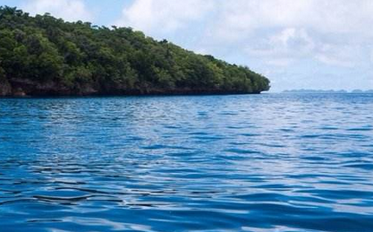 看看全自動過濾器在水產養殖行業的發展